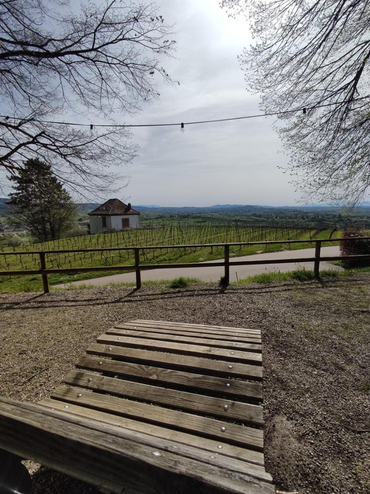 Appartement Sulzbachtal In Lahr, Naehe Europapark, Naehe Rulantica Лар Экстерьер фото